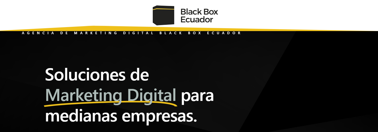 pagina web black box
