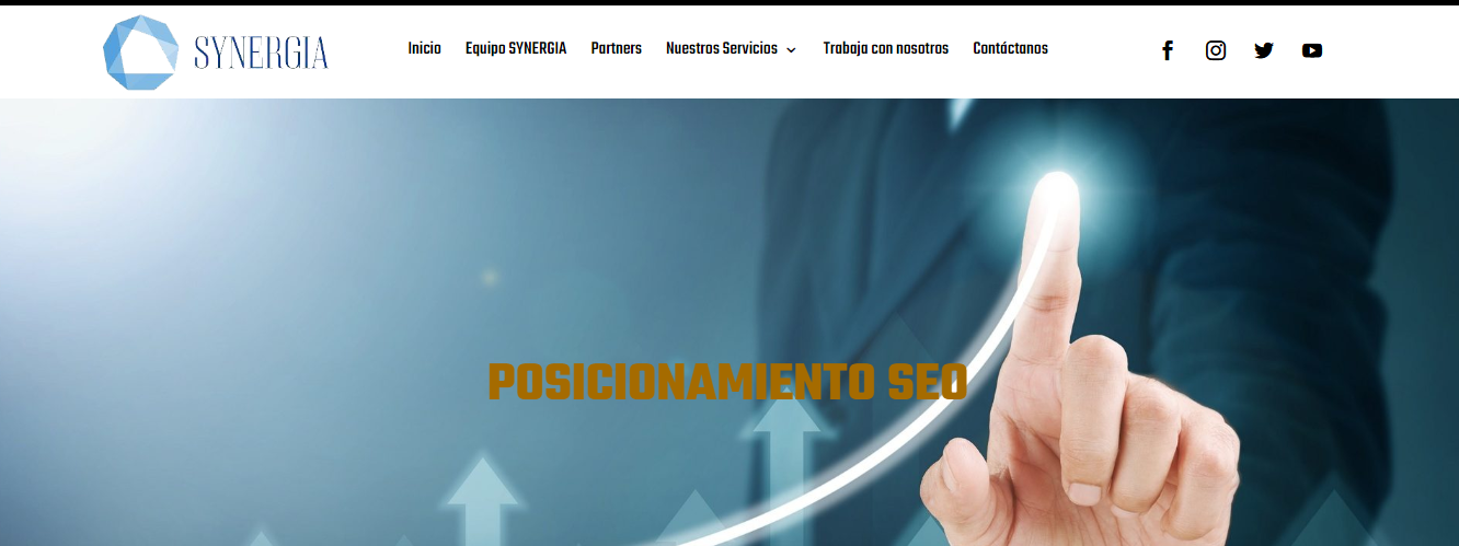 pagina web synergia