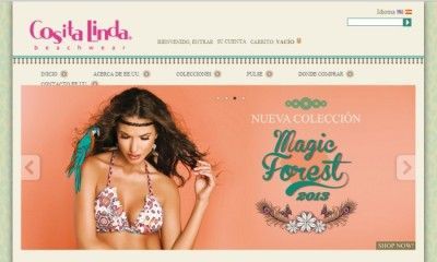 paginas-web-medellin1