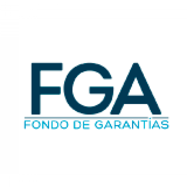 fondo de garantias
