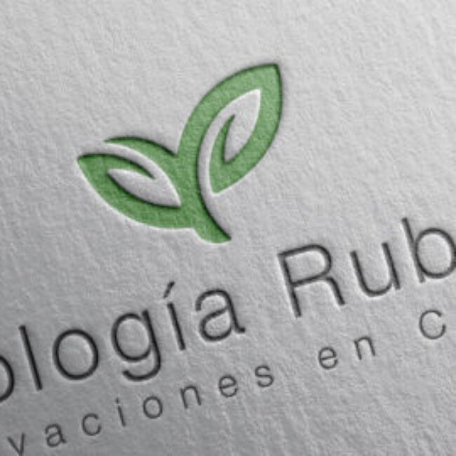 Ecología Rubber