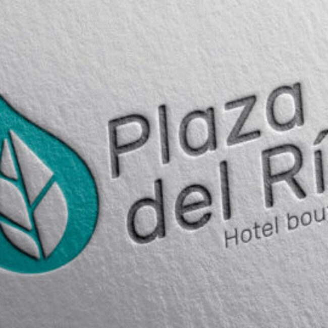Hotel Plaza del río