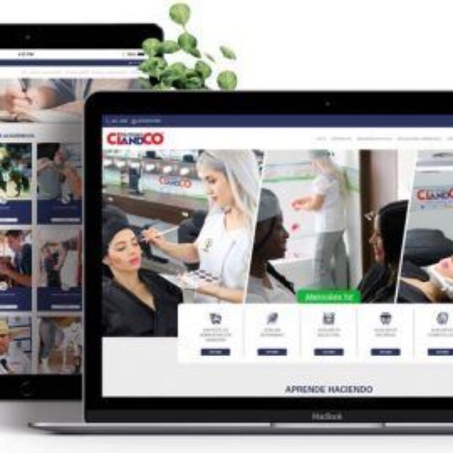 Diseño web Politécnico Ciandco