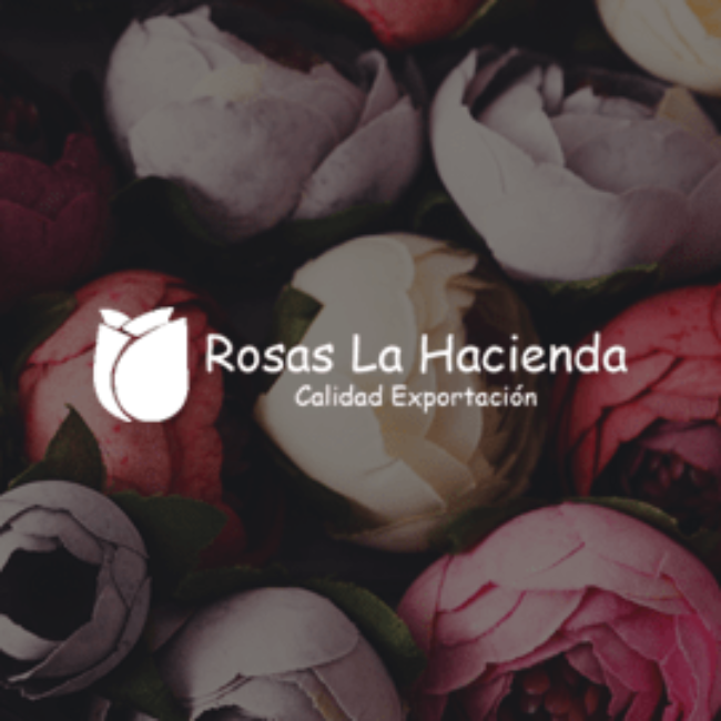 E-Commerce Rosas la Hacienda