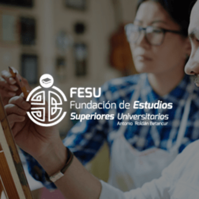 Diseño web Fesu