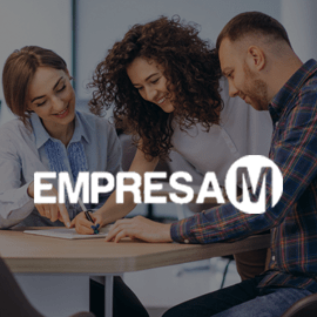 Diseño web Empresa M