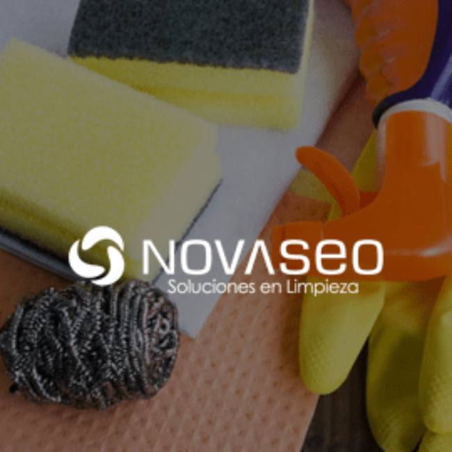 Página web Novaseo