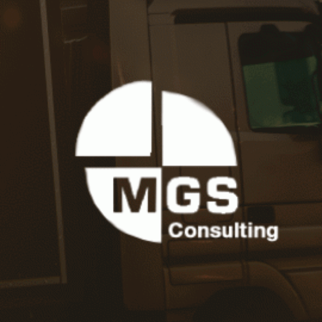 Sitio web MGS Consulting