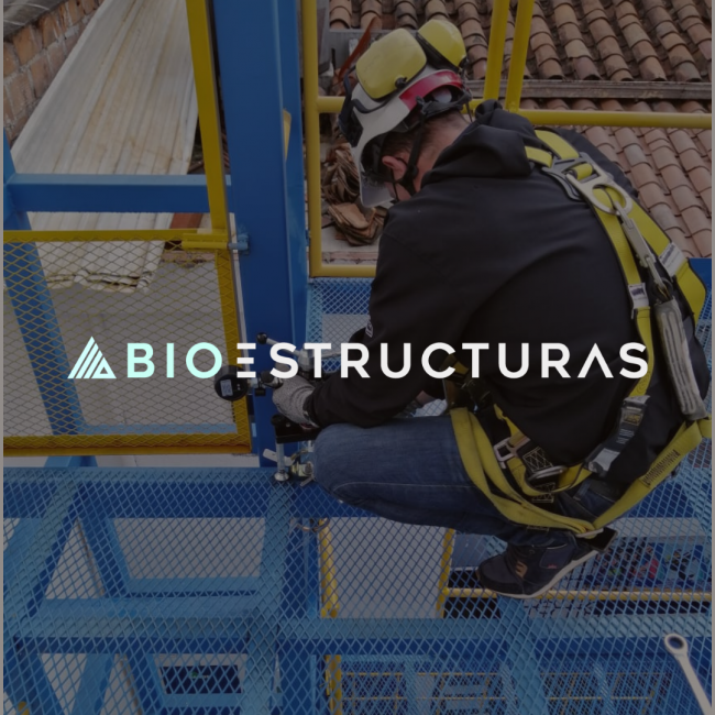 Sitio Web Bioestructuras