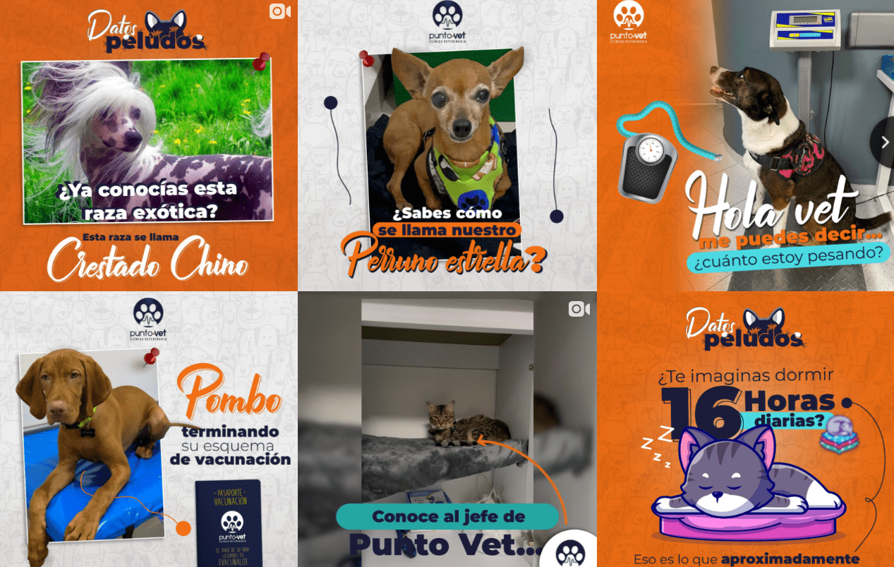 community-manager-en-medellin