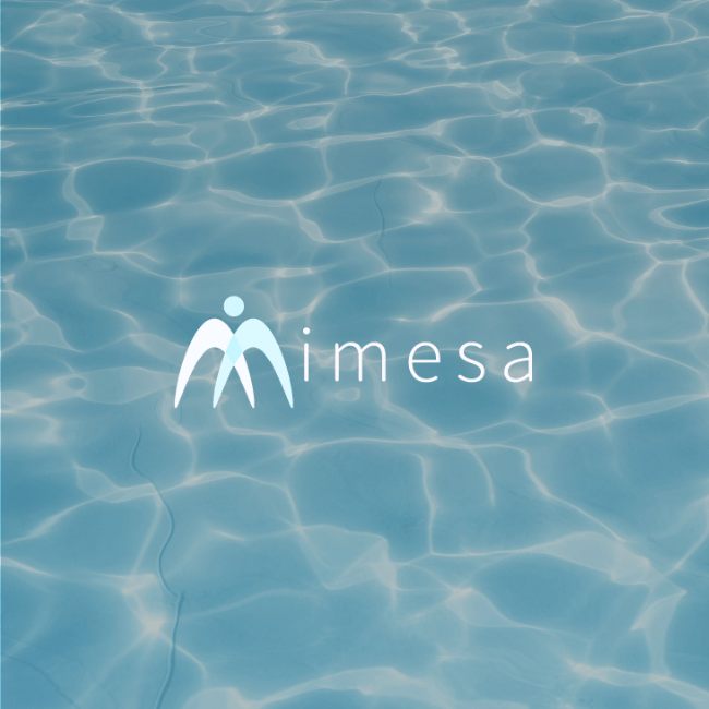 Imesa | Sitio Web
