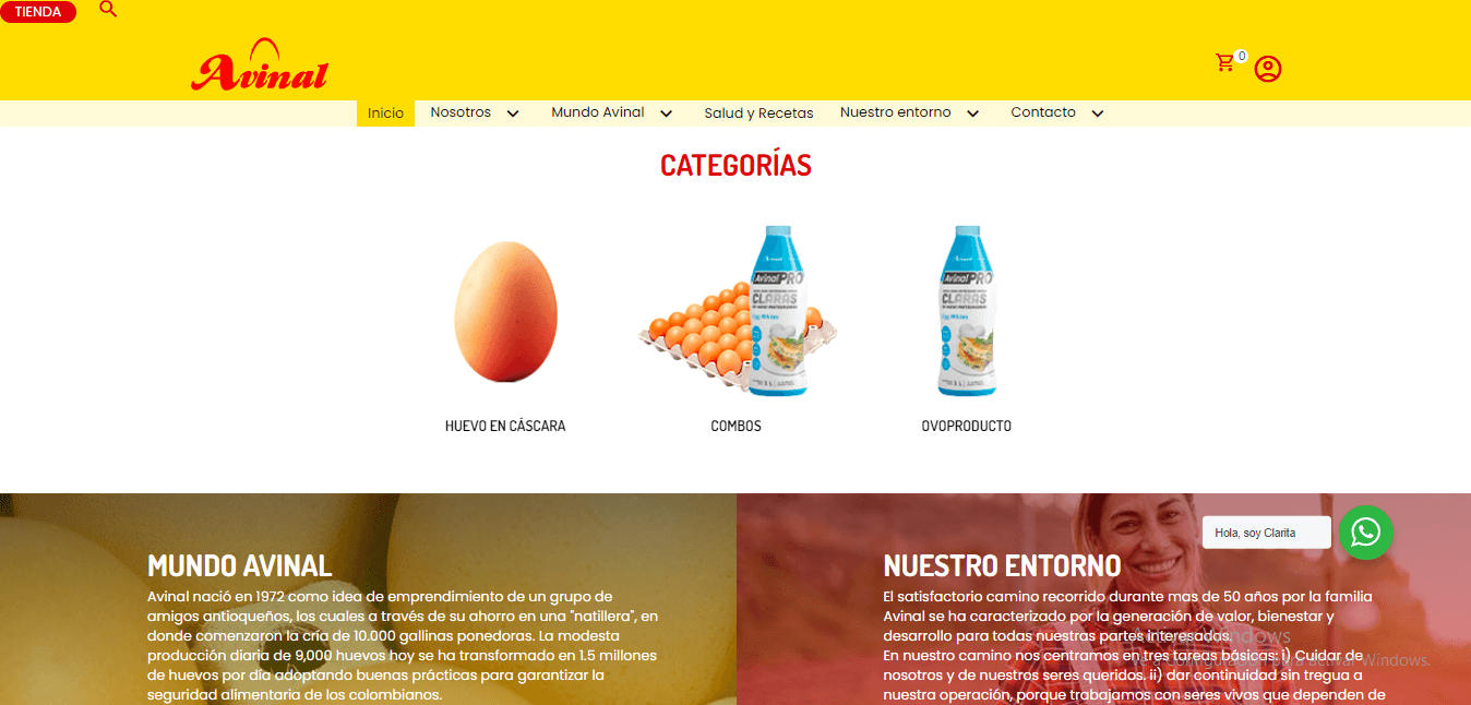 avinal-sitio-web