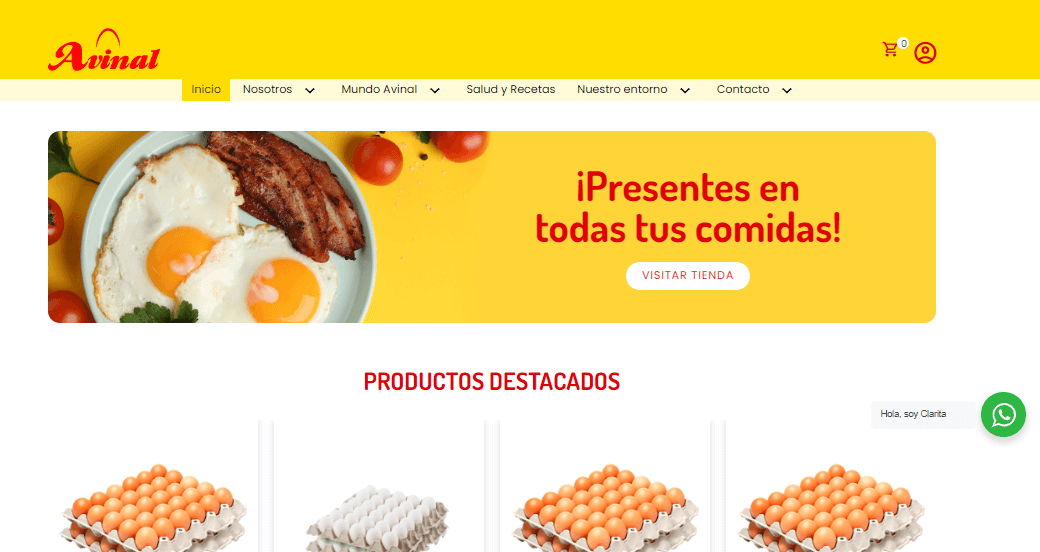 avinal-sitio-web
