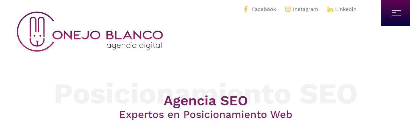 posicionamiento-seo-en-bogota