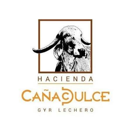 logo cana dulce