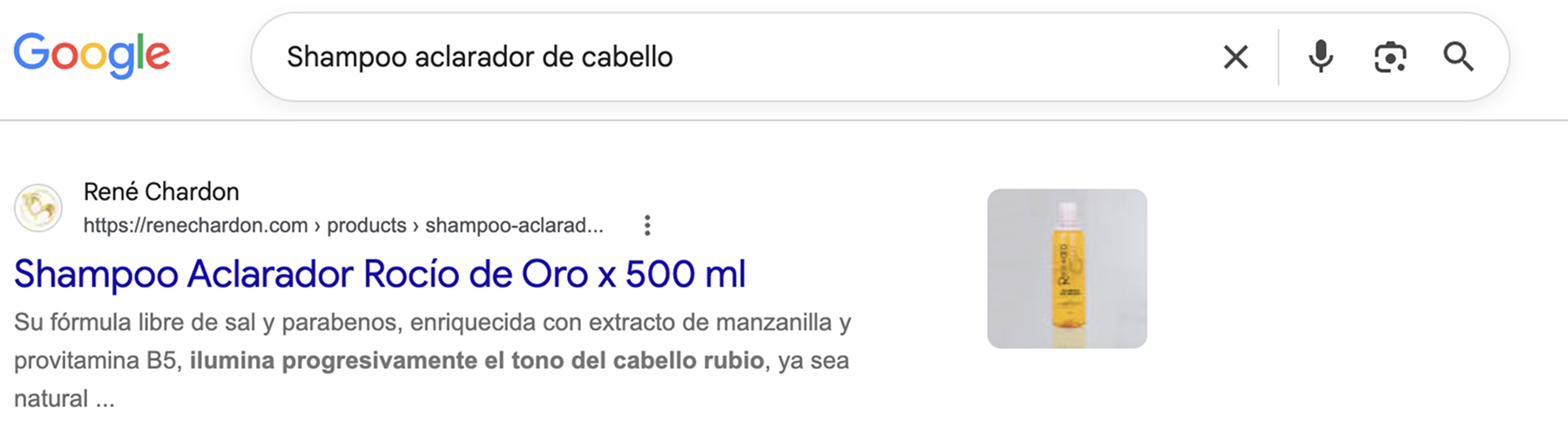 rene chardon posicionamiento seo